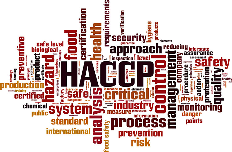 HACCP Plan Template