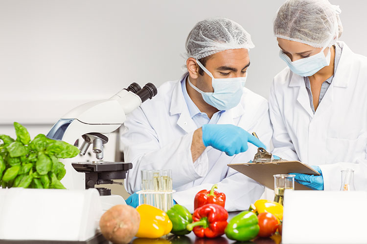 How to Develop a Food Safety Management System